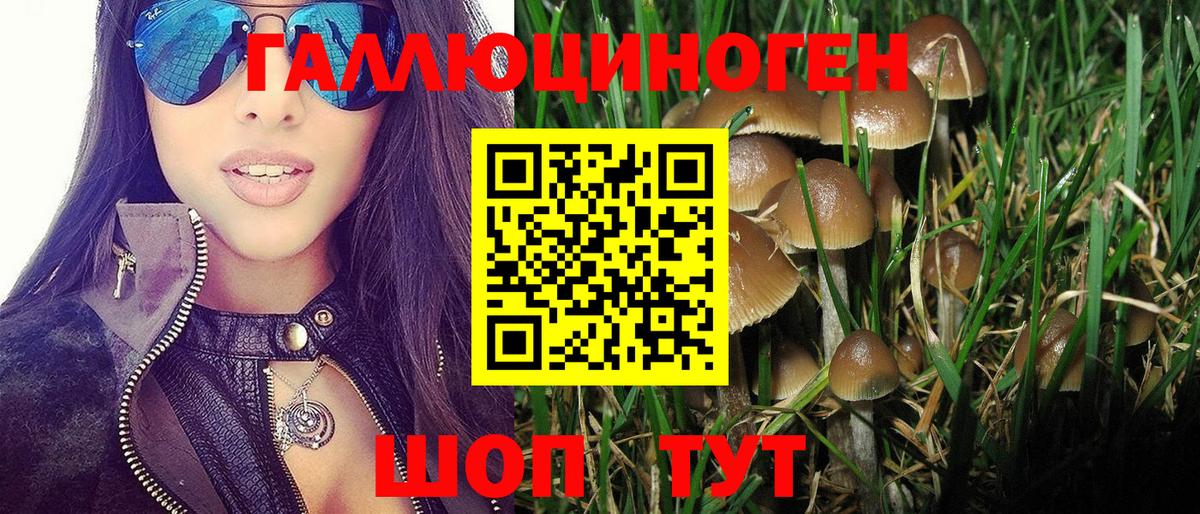 Галлюциногенные грибы мухоморы Мценск