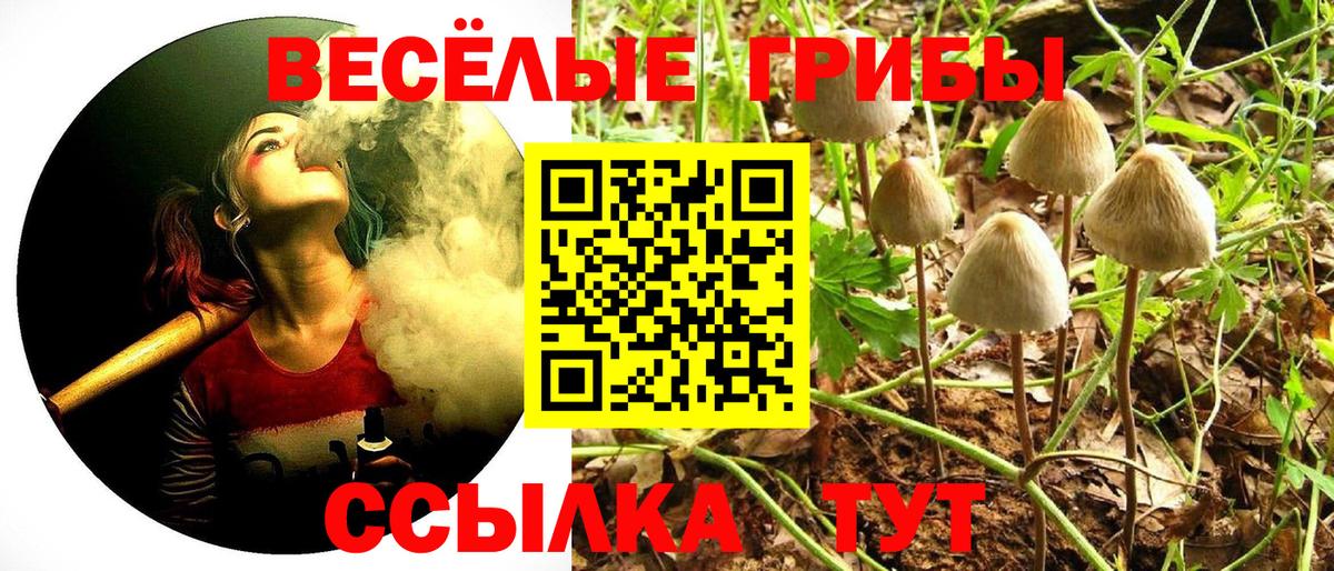 Псилоцибиновые грибы мухоморы  Вход с VPN  даркнет сайт  Псилоцибиновые грибы мицелий  Мценск 