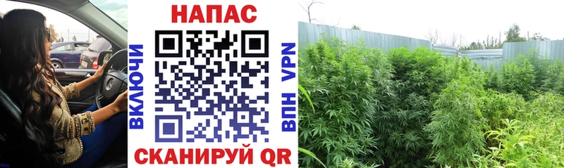 купить цена darknet формула блэк спрут зеркало Канабис индика Мценск